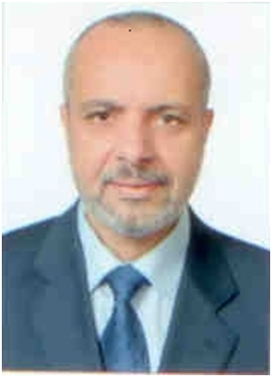 Walid M Hassan
