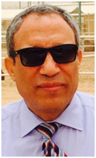 El-Sayed Ibrahim El-Agamy